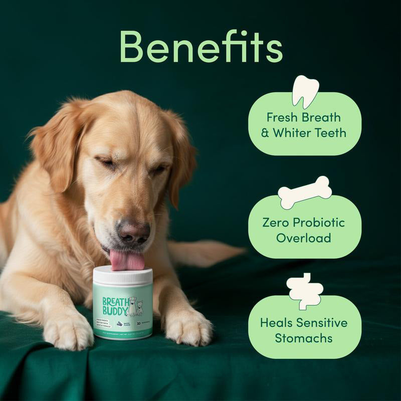 Pet Oral Care Powder Dog Teeth-Cleaning Powder