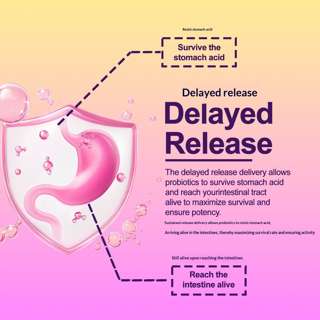 Probiotic Capsules Vegan Probiotics For Women