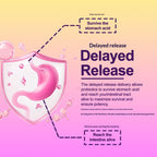 Probiotic Capsules Vegan Probiotics For Women